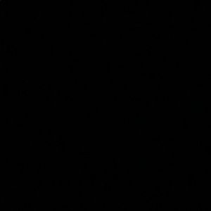 Meet your Posher, Evelyn